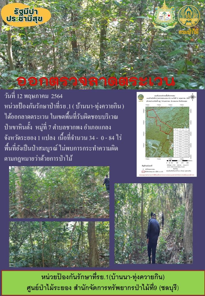 วันที่ 12 พฤษภาคม 2564 หน่วยป้องกันรักษาป่าที่ รย.1 (บ้านนา-ทุ่งควายกิน) ได้ออกลาดตระเวนในเขตพื้นที่รับผผิดชอบป่าเขาหินตั้ง หมู่ที่ 7 ตำบลชากพง อำเภอแกลง จังหวัดระยอง จำนวน 1 แปลง เนื้อที่ 34-0-84 ไร่ พื้นที่ป่ายังคงสภาพเป็นป่าสมบูรณ์ ไม่พบการกระทำความผิดตามกฏหมายว่าด้วยการป่าไม้