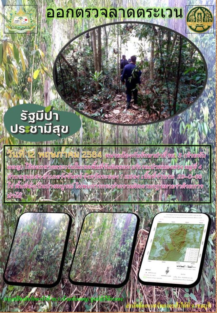 วันที่ 12 พฤษภาคม 2564 หน่วยป้องกันรักษาป่าที่ รย.3 (ห้วยทับมอญ) ได้ออกลาดตระเวนในเขตพื้นที่รับผิดชอบ บริเวณป่าหนองม่วง หมู่ที่ 4 ตำบลชุมแสง อำเภอวังจันทร์ จังหวัดระยอง จำนวน 1 แปลง เนื้อที่ 29-0-56 ไร่ พื้นที่ป่ายังคงสภาพเป็นป่าสมบูรณ์ ไม่พบการกระทำความผิดตามกฏหมายว่าด้วยการป่าไม้