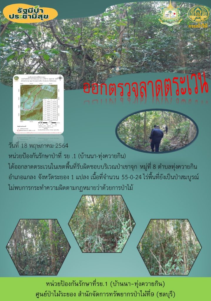 วันที่ 18 พฤษภาคม 2564 หน่วยป้องกันรักษาป่าที่ รย.1 (บ้านนา-ทุ่งควายกิน) ได้ออกลาดตระเวนในเขตพื้นที่รับผิดชอบบริเวณป่าเขาจุก หมู่ที่ 8 ตำบลทุ่งควายกิน อำเภอแกลง จังหวัดระยอง จำนวน 1 แปลง เนื้อที่ 55-0-24 ไร่ พื้นที่ป่ายังคงสภาพเป็นป่าสมบูรณ์ ไม่พบการกระทำความผิดตามกฏหมายว่าด้วยการป่าไม้