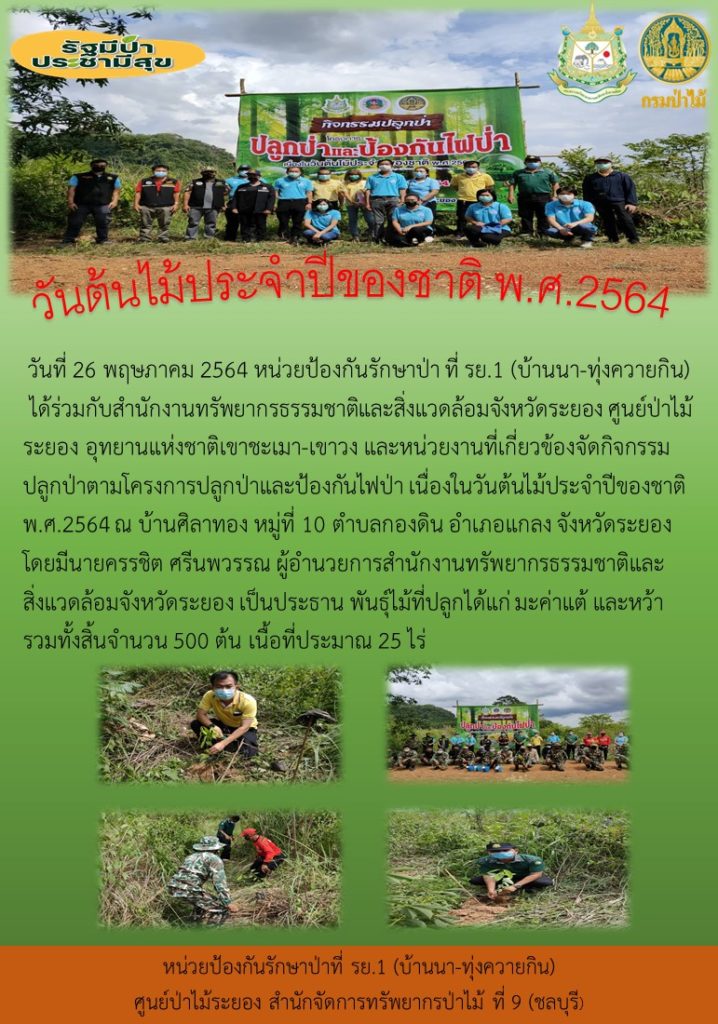 วันที่ 26 พฤษภาคม 2564 หน่วยป้องกันรักษาป่าที่ รย.1 (บ้านนา-ทุ่งควายกิน) ได้ร่วมกับสำนักงานทรัพยากรธรรมชาติและสิ่งแวดล้อมจังหวัดระยอง ศูนย์ป่าไม้ระยอง อุทยานแห่งชาติเขาชะเมา-เขาวง และหน่วยงานที่เกี่ยวข้องจัดกิจกรรมปลูกป่าตามโครงการปลูกป่าและป้องกันไฟป่า เนื่องในวันต้นไม้ประจำปีของชาติ พ.ศ. 2564 ณ บ้านศิลาทอง หมู่ที่ 10 ตำบลกองดิน อำเภอแกลง จังหวัดระยอง โดยมีนายครรชิต ศรีนพวรรณ ผู้อำนวยการสำนักงานทรัพยากรธรรมชาติและสิ่งแวดล้อมจังหวัดระยอง เป็นประธาน พันธุ์ไม้ที่ปลูกได้แก่ มะค่าแต้ และหว้า รวมทั้งสิ้นจำนวน 500 ต้น เนื้อที่ประมาณ 25 ไร่