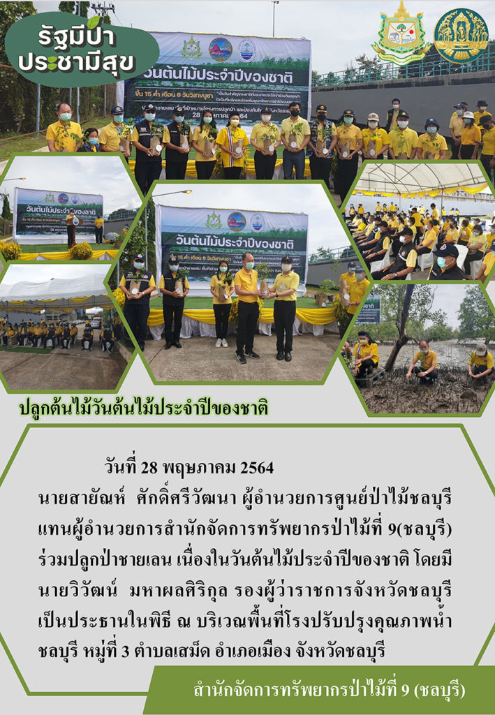 วันที่ 28 พฤษภาคม 2564 นายสายัณห์ ศักดิ์ศรีวัฒนา ผู้อำนวยการศูนย์ป่าไม้ชลบุรี แทนผู้อำนวยการสำนักจัดการทัพยากรป่าไม้ที่ 9 (ชลบุรี) ร่วมปลูกป่าชายเลน เนื่องในวันต้นไม้ประจำปีของชาติ โดยมีนายวิวัฒน์ มหาผลศิริกุล รองผู้ว่าราชการจังหวัดชลบุรี เป็นประธานในพิธี ณ บริเวณพื้นที่โรงปรับปรุงคุณภาพน้ำชลบุรี หมู่ที่ 3 ตำบลเสม็ด อำเภอเมือง จังหวัดชลบุรี