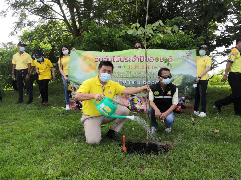 วันต้นไม้ประจำปีของชาติ 2564