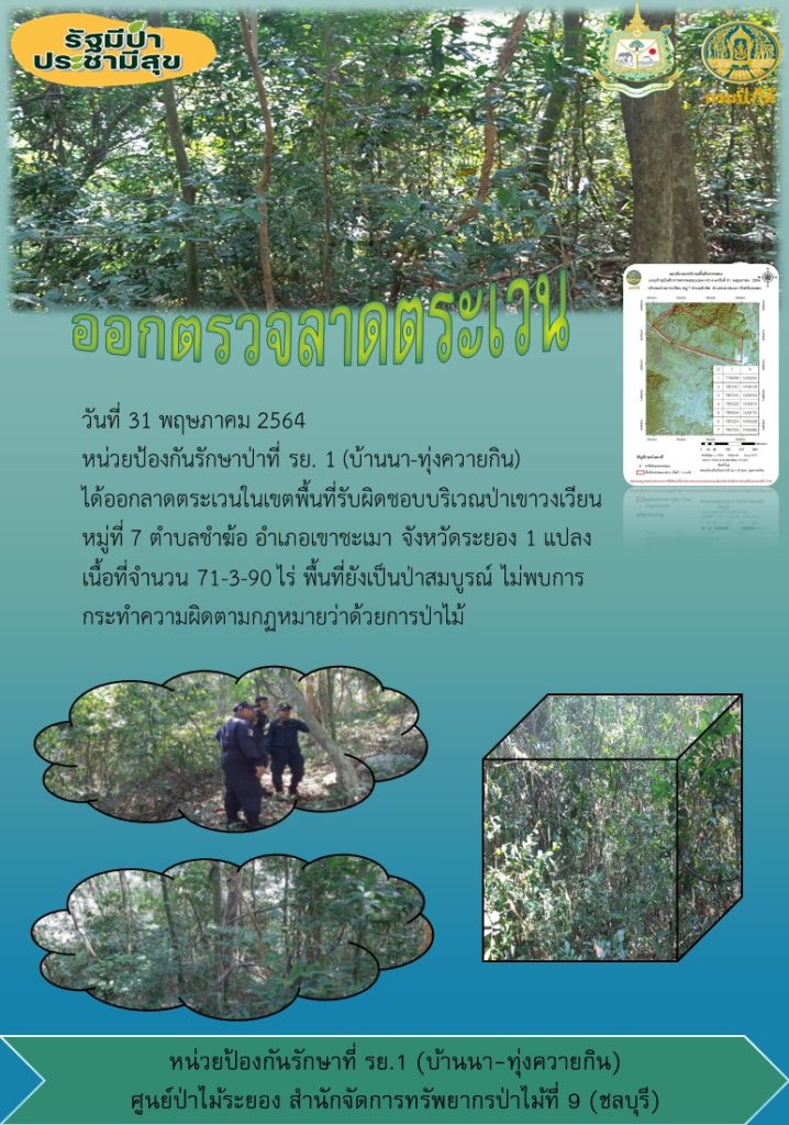 วันที่ 31 พฤษภาคม 2564 หน่วยป้องกันรักษาป่าที่ รย.1 (บ้านนา-ทุ่งควายกิน) ได้ออกลาดตระเวนในเขตพื้นที่รับผิดชอบบริเวณป่าเขาวงเวียง หมู่ที่ 7 ตำบลชำฆ้อ อำเภอเขาชะเมา จังหวัดระยอง จำนวน 1 แปลง เนื้อที่ 71-3-90 ไร่ พื้นที่ป่ายังคงสภาพเป็นป่าสมบูรณ์ ไม่พบการกระทำความผิดตามกฏหมายว่าด้วยการป่าไม้