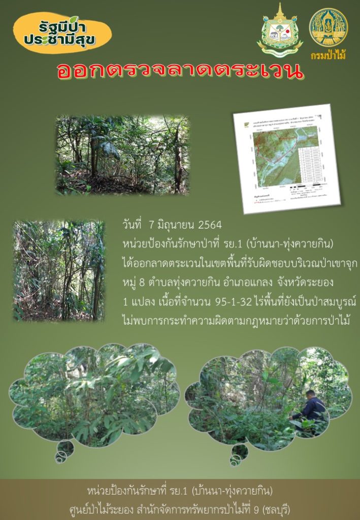 วันที่ 7 มิถุนายน 2564 หน่วยป้องกันรักษาป่าที่ รย.1 (บ้านนา-ทุ่งควายกิน) ได้ออกลาดตระเวนในเขตพื้นที่รับผิดชอบ บริเวณป่าเขาจุก หมู่ที่ 8 ตำบลทุ่งควายกิน อำเภอแกลง จังหวัดระยอง จำนวน 1 แปลง เนื้อที่ 95-1-32 ไร่ พื้นที่ป่ายังคงสภาพเป็นป่าสมบูรณ์ ไม่พบการกระทำความผิดตามกฏหมายว่าด้วยการป่าไม้