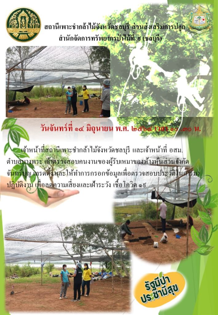 วันที่ 14 มิถุนายน 2564 เวลา 10.30 น. เจ้าหน้าที่สถานีเพาะชำกล้าไม้จังหวัดชลบุรี และเจ้าหน้าที่ อสม. ตำบลบางพระ เข้าตรวจสอบคนงานของผู้รับเหมาห้างหุ้นส่วนจำกัด จันทร์บุญ เทรดดิ้ง และให้ทำการกรอกข้อมูลเพื่อตรวจสอบประวัติในการมาปฏิบัติงาน เพื่อลดความเสี่ยงและเฝ้าระวัง เชื้อโควิด 19