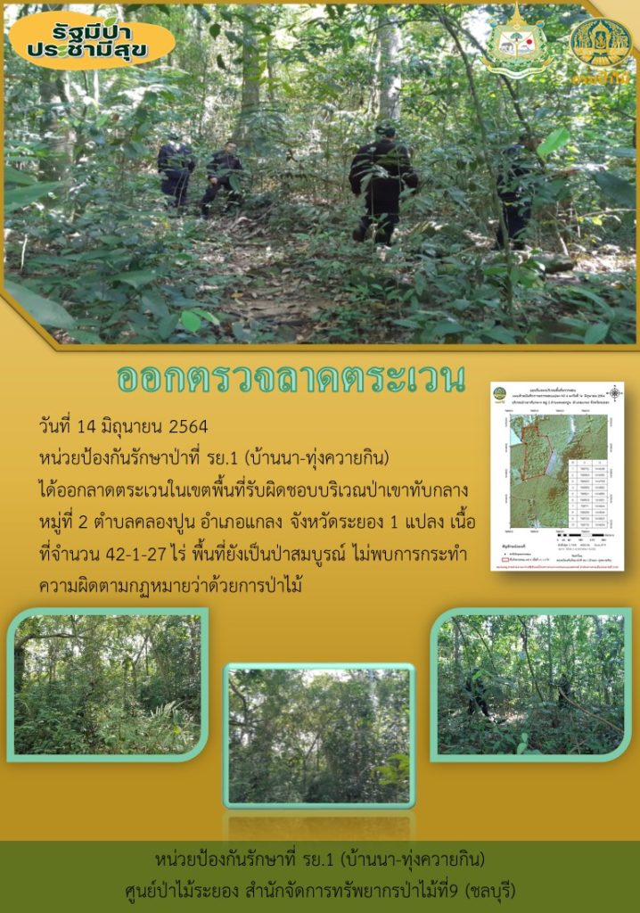 วันที่ 14 มิถุนายน 2564 หน่วยป้องกันรักษาป่าที่ รย.1 (บ้านนา-ทุ่งควายกิน) ได้ออกลาดตระเวนในเขตพื้นที่รับผิดชอบ บริเวณป่าเขาทับกลาง หมู่ที่ 2 ตำบลคลองปูน อำเภอแกลง จังหวัดระยอง จำนวน 1 แปลง เนื้อที่ 42-1-27 ไร่ พื้นที่ป่ายังคงสภาพเป็นป่าสมบูรณ์ ไม่พบการกระทำความผิดตามกฎหมายว่าด้วยการป่าไม้