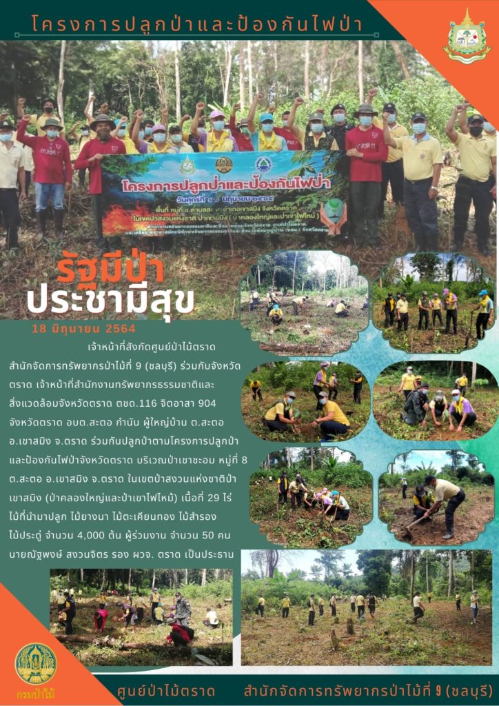 วันที่ 18 มิถุนายน 2564 เจ้าหน้าที่สังกัดศูนย์ป่าไม้ตราด สำนักจัดการทรัพยากรป่าไม้ที่ 9 (ชลบุรี) ร่วมกับจังหวัดตราด เจ้าหน้าที่สำนักงานทรัพยากรธรรมชาติและสิ่งแวดล้อมจังหวัดตราด ตชด.116 จิตอาสา 904 จังหวัดตราด อบต.สะตอ กำนัน ผู้ใหญ่บ้าน ตำบลสะตอ อำเภอเขาสมิง จังหวัดตราด ร่วมกันปลูกป่าตามโครงการปลูกป่าและป้องกันไฟป่าจังหวัดตราด บริเวณป่าเขาชะอบ หมู่ที่ 8 ตำบลสะตอ อำเภอเขาสมิง จังหวัดตราด ในเขตป่าสงวนแห่งชาติป่าเขาสมิง (ป่าคลองใหญ่และป่าเขาไฟไหม้) เนื้อที่ 29 ไร่ ไม้ที่นำมาปลูก ไม้ยางนา ไม้ตะเคียนทอง ไม้สำรอง ไม้ประดู่ป่า จำนวน 4,000 ต้น ผู้ร่วมงานจำนวน 50 คน โดยมีนายณัฐพงษ์ สงวนจิตร รองผู้ว่าราชการจังหวัดตราด เป็นประธาน