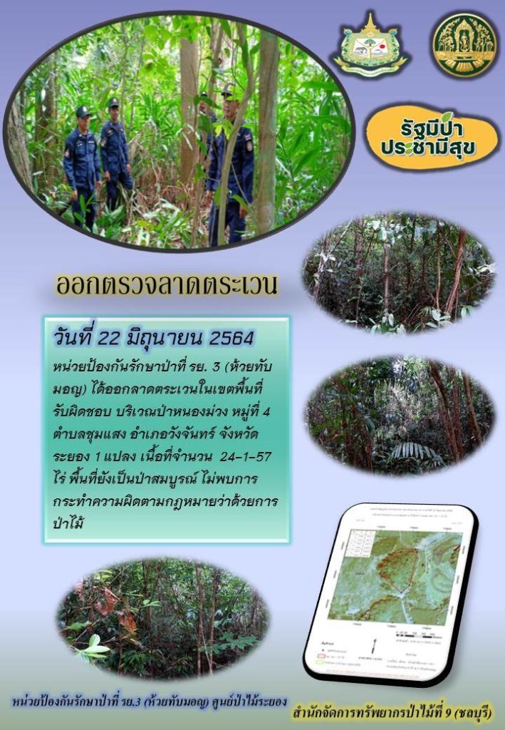 วันที่ 22 มิถุนายน 2564 หน่วยป้องกันรักษาป่าที่ รย.3 (ห้วยทับมอญ) ได้ออกลาดตระเวนในเขตพื้นที่รับผิดชอบ บริเวณป่าหนองม่วง หมู่ที่ 4 ตำบลชุมแสง อำเภอวังจันทร์ จังหวัดระยอง จำนวน 1 แปลง เนื้อที่ 24-1-57 ไร่ พื้นที่ป่ายังคงสภาพเป็นป่าสมบูรณ์ ไม่พบการกระทำความผิดตามกฎหมายว่าด้วยการป่าไม้