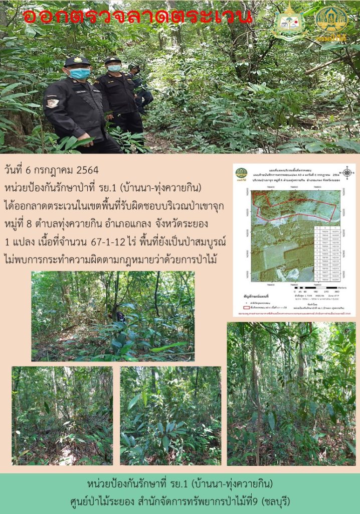 วันที่ 6 กรกฎาคม 2564 หน่วยป้องกันรักษาป่าที่ รย.1 (บ้านนา-ทุ่งควายกิน) ได้ออกลาดตระเวนในเขตพื้นที่รับผิดชอบบริเวณป่าเขาจุก หมู่ที่ 8 ตำบลทุ่งควายกิน อำเภอแกลง จังหวัดระยอง จำนวน 1 แปลง เนื้อที่ 67-1-12 ไร่ พื้นที่ยังคงสภาพเป็นป่าสมบูรณ์ ไม่พบการกระทำความผิดตามกฎหมายว่าด้วยการป่าไม้