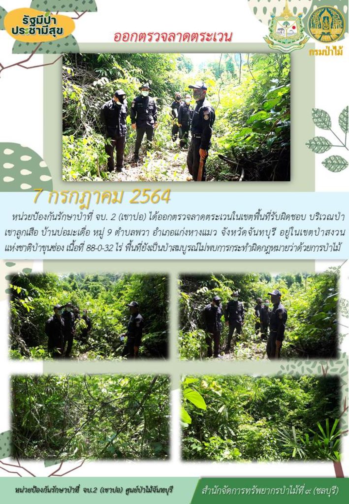 วันที่ 7 กรกฎาคม 2564 หน่วยป้องกันรักษาป่าที่ จบ.2 (เขาปอ) ได้ออกตรวจลาดตระเวนในเขตพื้นที่รับผิดชอบ บริเวณป่าเขาลูกเสือ บ้านบ่อมะเดื่อ หมู่ที่ 9 ตำบลพวา อำเภอแก่งหาวแมว จังหวัดจันทบุรี อยู่ในเขตป่าสงวนแห่งชาติป่าขุนซ่อง เนื้อที่ 88-0-32 ไร่ พื้นที่ยังคงสภาพเป็นป่าสมบูรณ์ ไม่พบการกระทำความผิดตามกฎหมายว่าด้วยการป่าไม้