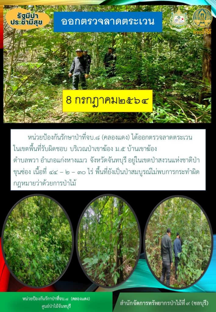 วันที่ 8 กรกฎาคม 2564 หน่วยป้องกันรักษาป่าที่ จบ.8 (คลองแดง) ได้ออกตรวจลาดตระเวนในเขตพื้นที่รับผิดชอบ บริเวณป่าเขาฆ้อง หมูที่ 5 บ้านเขาฆ้อง ตำบลพวา อำเภอแก่งหางแมว จังหวัดจันทบุรี อยู่ในเขตป่าสงนแห่งชาติป่าขุนซ่อง เนื้อที่ 44-2-30 ไร่ พื้นที่ยังคงสภาพเป็นป่าสมบูรณ์ ไม่พบการกระทำความผิดตามกฎหมายว่าด้วยการป่าไม้