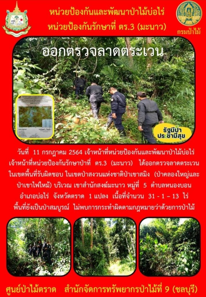 วันที่ 11 กรกฎาคม 2564 เจ้าหน้าที่หน่วยป้องกันและพัฒนาป่าไม้บ่อไร่ เจ้าหน้าที่หน่วยป้องกันรักษาป่าที่ ตร.3 (มะนาว) ได้ออกตรวจลาดตระเวนในเขตพื้นที่รับผิดชอบ ในเขตป่าสงวนแห่งชาติป่าเขาสมิง (ป่าคลองใหญ่และป่าเขาไฟไหม้) บริเณเขาสำนักสงฆ์มะนาว หมู่ที่ 5 ตำบลหนองบอน อำเภอบ่อไร่ จังหวัดตราด จำนวน 1 แปลง เนื้อที่ 31-1-13 ไร่ พื้นที่ยังคงสภาพเป็นป่าสมบูรณ์ ไม่พบการกระทำความผิดตามกฎหมายว่าด้วยการป่าไม้