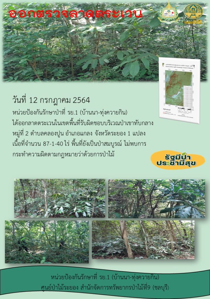 วันที่ 12 กรกฎาคม 2564 หน่วยป้องกันรักษาป่าที่ รย.1 (บ้านนา-ทุ่งควายกิน) ได้ออลาดตระเวนในเขตพื้นที่รับผิดชอบบริเณป่าเขาทับกลาง หมู่ที่ 2 ตำบลคลองปูน อำเภอแกลง จังหวัดระยอง จำนวน 1 แปลง เนื้อที่ 87-1-40 ไร่ พื้นที่ยังคงสภาพเป็นป่าสมบูรณ์ ไม่พบการกระทำความผิดตามกฎหมายว่าด้วยการป่าไม้