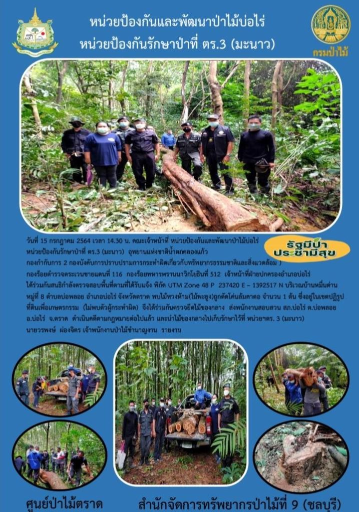 วันที่ 15 กรกฎาคม 2564 เวลา 14.30 น. คณะเจ้าหน้าที่หน่วยป้องกันและพัฒนาป่าไม้บ่อไร่ หน่วยป้องกันรักษาป่าที่ ตร.3 (มะนาว) อุทยานแห่งชาติน้ำตกคลองแก้ว กองกำกับการ 2 กองบังคับการปราบปรามการกระทำผิดเกี่ยวกับทรัพยากรธรรมชาติและสิ่งแวดล้อม กองร้อยตำรวจตระเวนชายแดนที่ 116 กองร้อยทหารพรานนาวิกโยธินที่ 512 เจ้าหน้าที่ฝ่ายปกครองอำเภอบ่อไร่ ได้ร่วมกันสนธิกำลังตรวจสอบพื้นที่ตามที่ได้รับแจ้ง พิกัด UTM Zone 48 P 237420 E - 1392517 N บริเวณบ้านหมื่นด่าน หมู๋ที่ 8 ตำบลบ่อพลอย อำเภอบ่อไร่ จังหวัดตราด พบไม้หวงห้าม (ไม้พะยูง) ถูกตดโค่นล้มคาตอ จำนวน 1 ต้น ซึ่งอยู่ในเขตปฏิรูปที่ดินเพื่อการเกษตรกรรม (ไม่พบตัวผู้กระทำผิด) จึงได้ร่วมกันตรวจยึดไม้ของกลาง ส่งพนักงานสอบสวน สภ.บ่อไร่ ตำบลบ่อพลอย อำเภอบ่อไร่ จังหวัดตราด ดำเนินคดีตามกฎหมายต่อไป และนำไม้ของกลางไปเก็บรักษาไว้ที่ หน่วยฯ ตร.3 (มะนาว)