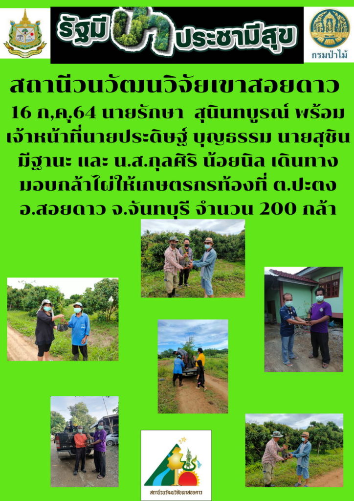 วันที่ 16 กรกฎาคม 2564 สถานีวนวัฒนวิจัยเขาสอยดาว โดยนายรักษา สุนินทบูรณ์ พร้อมด้วยเจ้าหน้าที่นายประดิษฐ์ บุญธรรม นายสุชิน มีฐานะ และนางสาวกุลศิริ น้อยนิล ได้มอบกล้าไผ่ให้เษตรกรท้องที่ ตำบลปะตง อำเภอสอยดาว จังหวัดจันทบุรี จำนวน 200 กล้า