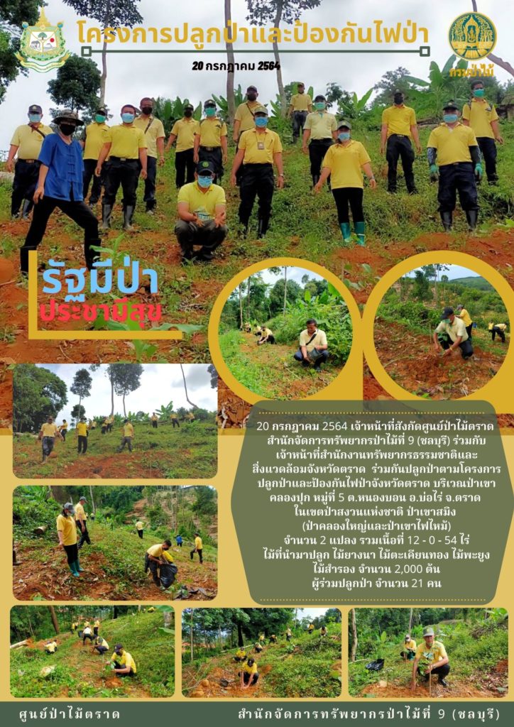 วันที่ 20 กรกฎาคม 2564 เจ้าหน้าที่สังกัดศูนย์ป่าไม้ตราด สำนักจัดการทรัพยากรป่าไม้ที่ 9 (ชลบุรี) ร่วมกับเจ้าหน้าที่สำนักงานทรัพยากรธรรชาติและสิ่งแวดล้อมจังหวัดตราด ร่วมกันปลูกป่าโครงการปลูกป่าและป้องกันไฟป่าจังหวัดตราด บริเวณป่าเขาคลองปุก หมู่ที่ 5 ตำบลหนองบอน อำเภอบ่อไร่ จังหวัดตราด ในเขตป่าสงวนแห่งชาติ ป่าเขาสมิง (ป่าคลองใหญ่และป่าเขาไฟไหม้) จำนวน 2 แปลง เนื้อที่ 12-0-54 ไร่ ไม้ที่นำมาปลูก ไม้ยางนา ไม้ตะเคียนทอง ไม้พะยูง ไม้สำรอง จำนวน 2,000 ต้น ผู้ร่วมปลูกป่า จำนวน 21 คน