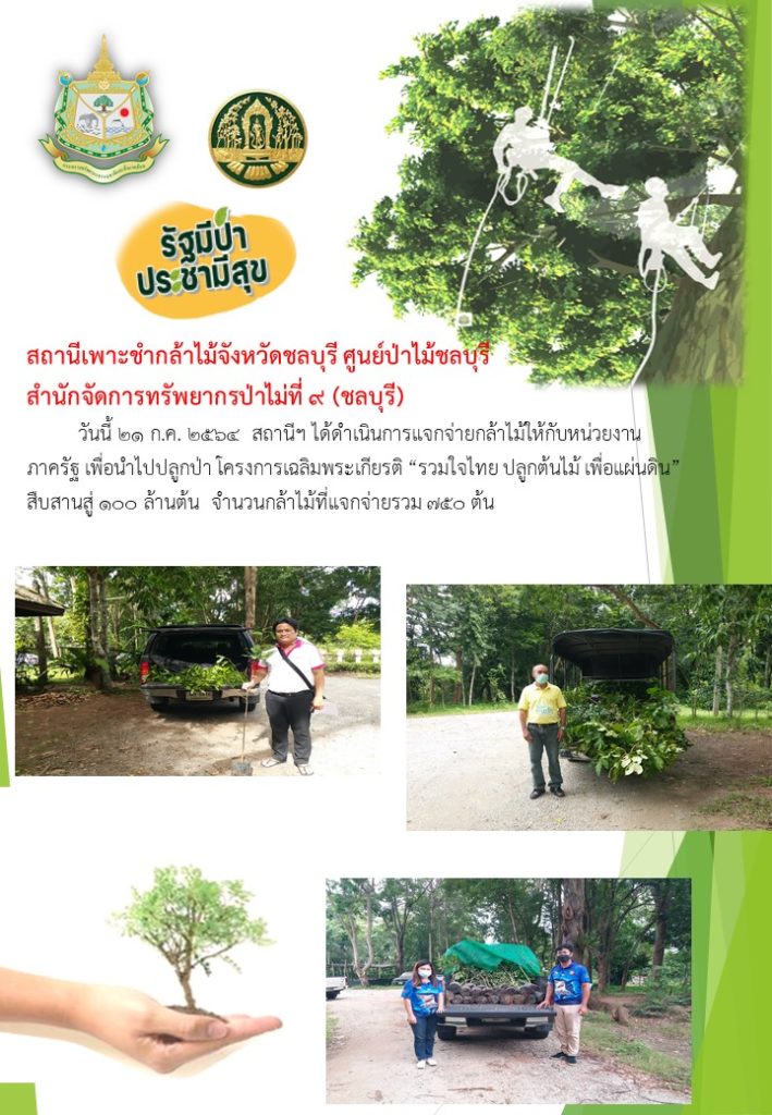 วันที่ 21 กรกฎาคม 2564 สถานีเพาะชำกล้าไม้จังหวัดชลบุรี ได้ดำเนินการแจกจ่ายกล้าไม้ให้กับหน่วยงานภาครัฐ เพื่อนำไปปลูก โครงการเฉลิมพระเกียรติ "รวมใจไทย ปลูกต้นไม้เพื่อแผ่นดิน" สืบสานสู่ 100 ล้านต้น จำนวนกล้าไม้ที่แจกจ่ายรวม 750 ต้น