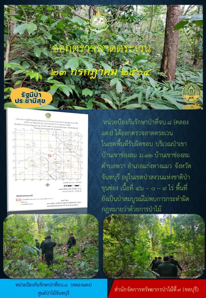วันที่ 23 กรกฎาคม 2564 หน่วยป้องกันรักษาป่าที่ จบ.8 (คลองแดง) ได้ออกตรวจลาดตระเวนในเขตพื้นที่รับผิดชอบ บริเวณป่าเขาบ้านเขาช่องลม หมู่ที่ 12 บ้านเขาช่องลม ตำบลพวา อำเภอแก่งหางแมว จังหวัดจันทบุรี อยู่ในเขตป่าสงวนแห่งชาติป่าขุนซ่อง เนื้อที่ 46-0-9 ไร่ พื้นที่ยังคงสภาพเป็นป่าสมบูรณ์ ไม่พบการกระทำความผิดตามกฎหมายว่าด้วยการป่าไม้