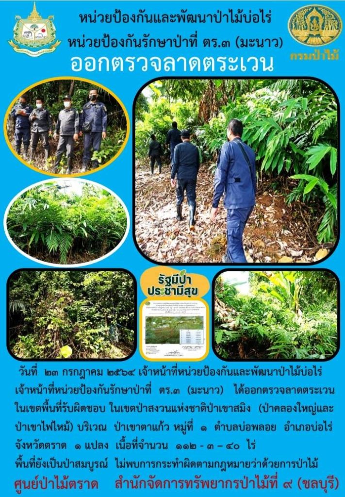 วันที่ 23 กรกฎาคม 2564 เจ้าหน้าที่หน่วยป้องกันและพัฒนาป่าไม้บ่อไร่ เจ้าหน้าที่หน่วยป้องกันรักษาป่าที่ ตร.3 (มะนาว) ได้ออกตรวจลาดตระเวนในเขตพื้นที่รับผิดชอบ ในเขตป่าสงวนแห่งชาติป่าเขาสมิง (ป่าคลองใหญ่และป่าเขาไฟไหม้) บริเวณป่าเขาตาแก้ว หมู่ที่ 1 ตำบลบ่อพลอย อำเภอบ่อไร่ จังหวัดตราด จำนวน 1 แปลง เนื้อที่ 112-3-40 ไร่ พื้นที่ยังคงสภาพเป็นป่าสมบูรณ์ ไม่พบการกระทำความผิดตามกฎหมายว่าด้วยการป่าไม้