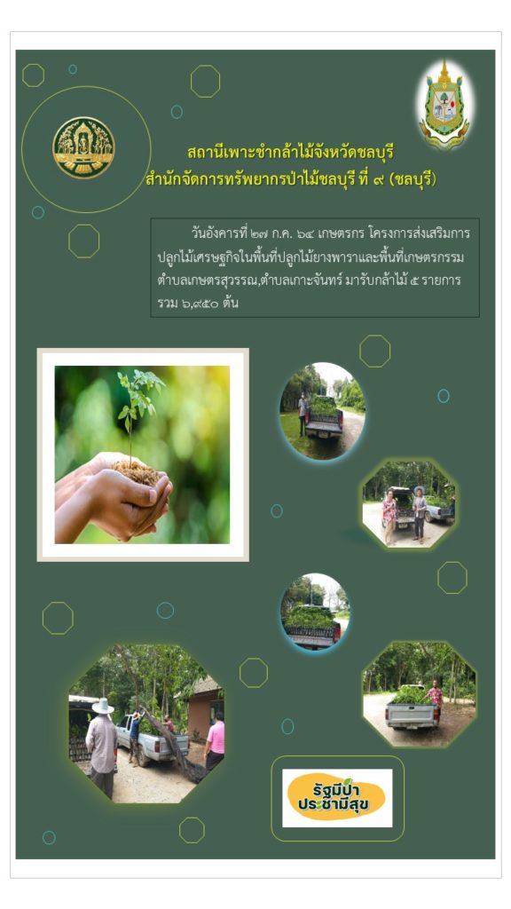 วันที่ 27 กรกฎาคม 2564 เกษตรกรโครงการส่งเสริมการปลูกไม้เศรษฐกิจในพื้นที่ปลูกยางพารา และพื้นที่เกษตรกรรมตำบลเกษตรสุวรรณ ตำบลเกาะจันทร์ มารับกล้าไม้ 5 รายการ รวม 6,950 ต้น