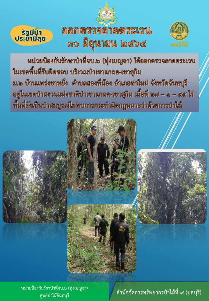 วันที่ 30 มิถุนายน 2564 หน่วยป้องกันรักษาป่าที่ จบ.6 (ทุ่งเบญจา) ได้ออกตรวจลาดตระเวนในเขตพื้นที่รับผิดชอบ บริเวณป่าเขาแกลด-เขาสุกิม หมู่ที่ 2 บ้านแพร่งเขาหยั่ง ตำบลสองพี่น้อง อำเภอท่าใหม่ จังหวัดจันทบุรี อยู่ในเขตป่าสงวนแห่งชาติป่าเขาแกลด-เขาสุกิม เนื้อที่ 27-1-45 ไร่ พื้นที่ป่ายังเป็นป่าสมบูรณ์ ไม่พบการกระทำความผิดตามกฎหมายว่าด้วยการป่าไม้