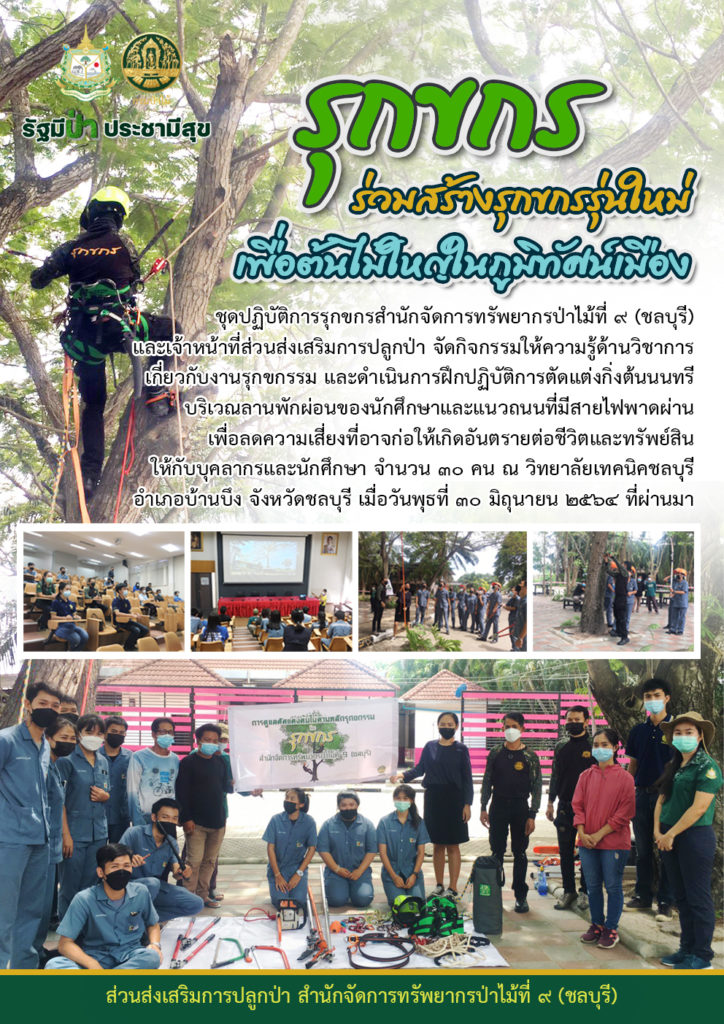 วันที่ 30 มิถุนายน 2564 ชุดปฏิบัติการรุกขกรสำนักจัดการทรัพยากรป่าไม้ที่ 9 (ชลบุรี) และเจ้าหน้าที่ส่วนส่งเสริมการปลูกป่า จัดกิจกรรมให้ความรู้ด้านวิชาการเกี่ยวกับงานรุกขกรรม และดำเนินการฝึกปฏิบัติการตัดแต่งกิ่งต้นนนทรี บริเวณลานพักผ่อนของนักศึกษาและแนวถนนที่มีสายไฟพาดผ่าน เพื่อลดความเสี่ยงที่อาจก่อให้เกิดอันตรายต่อชีวิตและทรัพย์สิน ให้กับบุคลากรและนักศึกษา จำนวน 30 คน ณ วิทยาลัยเทคนิคชลบุรี อำเภอบ้านบึง จังหวัดชลบุรี