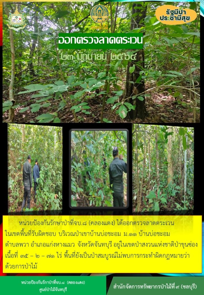 วันที่ 23 มิถุนายน 2564 หน่วยป้องกันรักษาป่าที่ จบ.8 (คลองแดง) ได้ออกตรวจลาดตระเวนในเขตพื้นที่รับผิดชอบ บริเวณป่าเขาบ้านบ่อชะอม หมู่ที่ 11 บ้านบ่อชะอม ตำบลพวา อำเภอแก่งหางแมว จังหวัดจันทบุรี อยู่ในเขตป่าสงวนแห่งชาติป่าขุนซ่อง เนื้อที่ 35-2-71 ไร่ ไม่พบการกระทำความผิดตามกฎหมายว่าด้วยการป่าไม้