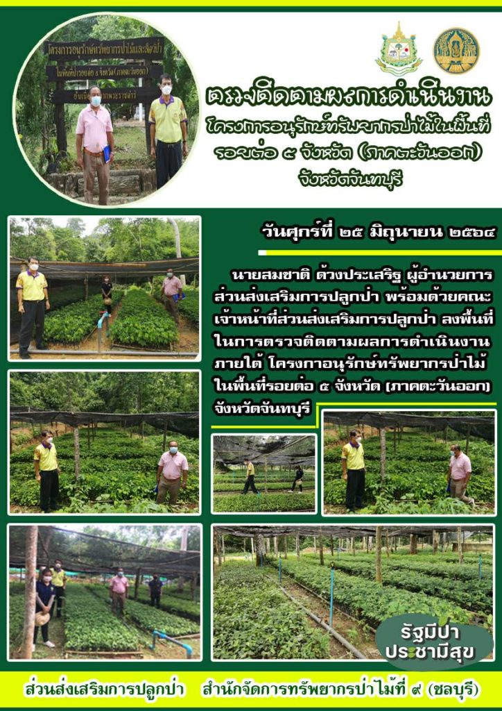 วันที่ 25 มิถุนายน 2564 นายสมชาติ ด้วงประเสริฐ ผู้อำนวยการส่วนส่งเสริมการปลูกป่า พร้อมด้วยคณะเจ้าหน้าที่ส่วนส่งเสริมการปลูกป่า ลงพื้นที่ในการตรวจติดตามผลการดำเนินงานภายใต้ โครงการอนุรักษ์ทรัพยากรป่าไม้ในพื้นที่รอยต่อ 5 จังหวัด (ภาคตะวันออก) จังหวัดจันทบุรี