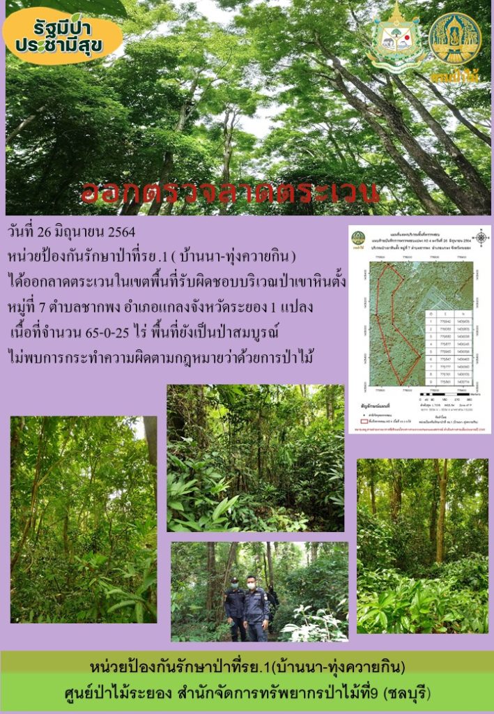 วันที่ 26 มิถุนายน 2564 หน่วยป้องกันรักษาป่าที่ รย.1 (บ้านนา-ทุ่งควายกิน) ได้ออกลาดตระเวนในเขตพื้นที่รับผิดชอบ บริเวณป่าเขาหินตั้ง หมู่ที่ 7 ตำบลชากพง อำเภอแกลง จังหวัดระยอง จำนวน 1 แปลง เนื้อที่ 65-0 25 ไร่ พื้นที่ป่ายังคงสภาพเป็นป่าสมบูรณ์ ไม่พบการกระทำความผิดตามกฎหมายว่าด้วยการป่าไม้