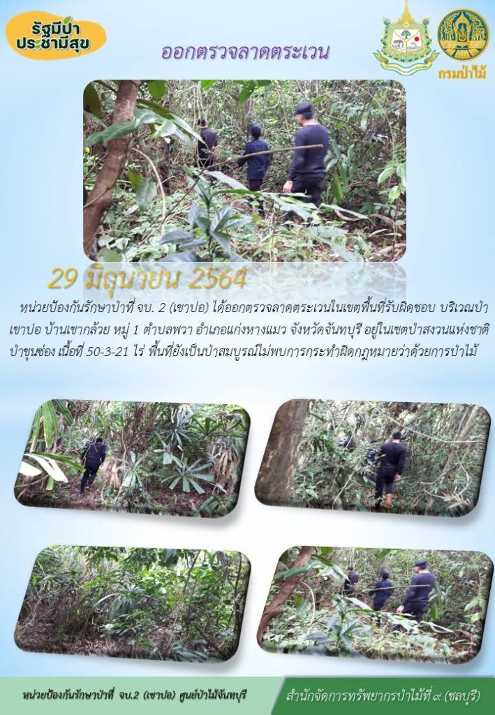 วันที่ 29 มิถุนายน 2564 หน่วยป้องกันรักษาป่าที่ จบ.2 (เขาปอ) ได้ออกตรวจลาดตระเวนในเขตพื้นที่รับผิดชอบ ริเวณป่าเขาปอ บ้านเขากล้วย หมู่ที่ 1 ตำบลพวา อำเภอแก่งหางแมว จังหวัดจันทบุรี อยู่ในเขตป่าสงวนแห่งชาติป่าขุนซ่อง เนื้อที่ 50-3-21 ไร่ พื้นที่ป่ายังเป็นป่าสมบูรณ์ ไม่พบการกระทำความผิดตามกฎหมายว่าด้วยการป่าไม้