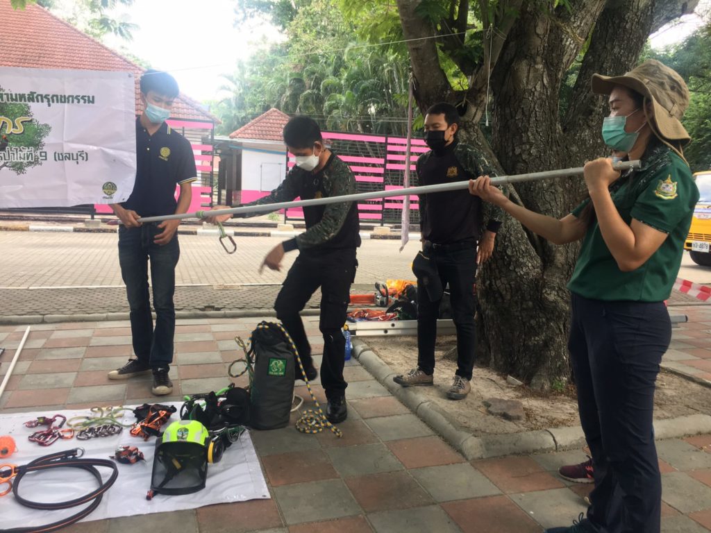 งานรุกขกร
