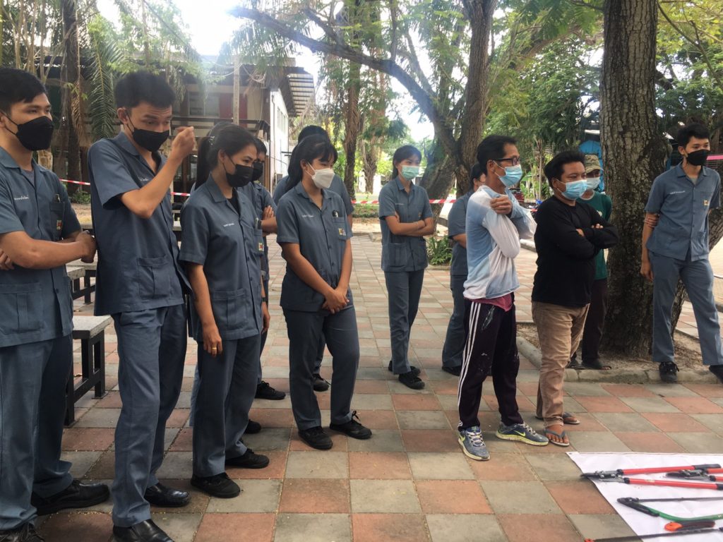 งานรุกขกร