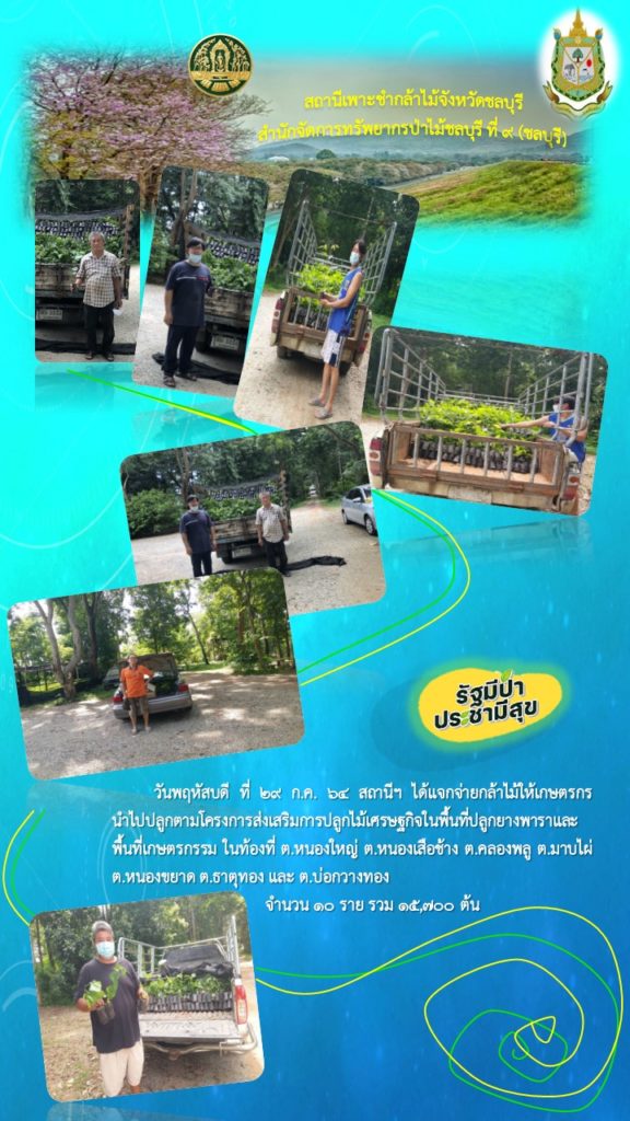 วันที่ 29 กรกฎาคม 2564 สถานีเพาะชำกล้าไม้จังหวัดชลบุรีได้แจกจ่ายกล้าไม้ให้เกษตรกร นำไปปลูกตามโครงการส่งเสริมการปลูกไม้เศรษฐกิจในพื้นที่ปลูกยางพาราและพื้นที่เกษตรกรรม ในท้องที่ ตำบลหนองใหญ่ ตำบลคลองพลู ตำบลมาบไผ่ ตำบลหนองขยาด ตำบลธาตุทอง และตำบลบ่อวางทอง จังหวัดชลบุรี จำนวน 10 ราย รวม 15,700 ต้น