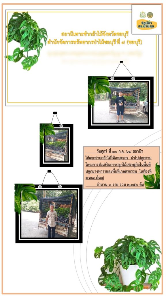 วันที่ 30 กรกฎาคม 2564 สถานีเพาะชำกล้าไม้จังหวัดชลบุรี ได้แจกจ่ายกล้าไม้ให้เกษตรกร นำไปปลูกตามโครงการส่งเสริมการปลูกไม้เศรษฐกิจในพื้นที่ปลูกยางพาราและพื้นที่เกษตรกรรม ในท้องที่ตำบลหนองใหญ่ จำนวน 1 ราย รวม 2,350 ต้น