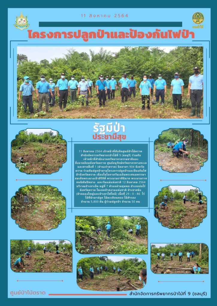 วันที่ 11 สิงหาคม 2564 เจ้าหน้าที่สังกัดศูนย์ป่าไม้ตราด สำนักจัดการทรัพยากรป่าไม้ที่ 9 (ชลบุรี) ร่วมกับเจ้าหน้าที่สำนักงานทรัพยากรธรรมชาติและสิ่งแวดล้อมจังหวัดตราด ศูนย์อนุรักษ์ทรัพยากรทางทะเลและชายฝั่งที่ 1 (ด่านเก่าตราด) จิตอาสา 904 จังหวัดตราด ร่วมกันปลูกป่าตามโครงการปลูกป่าและป้องกันไฟป่าจังหวัดตราด เนื่องในโอกาสวันเฉลิมพระชนมพรรษาสมเด็จพระนางเจ้าสิริกิติ์ พระบรมราชินีนาถ พระบรมราชชนนีพันปีหลวง และวันแม่แห่งชาติ 12 สิงหาคม 2564 บริเวณป่าเขาเอ็ด หมู่ที่ 7 ตำบลด่านชุมพล อำเภอบ่อไร่ จังหวัดตราด ในเขตป่าสวนแห่งชาติป่าเขาสมิง (ป่าคลองใหญ่และป่าเขาไฟไหม้) เนื้อที่ 29-0-86 ไร่ ไม้ที่นำมาปลูก ไม้ตะเคียนทอง ไม้สำรอง จำนวน 5,800 ต้น ผู้ร่วมปลูกป่า จำนวน 50 คน