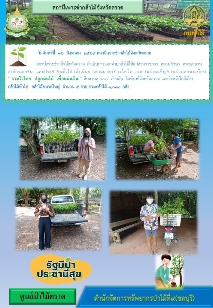วันที่ 16 สิงหาคม 2564 สถานีเพาะชำกล้าไม้จังหวัดตราด ดำเนินการแจกกล้าไม้ให้แก่ส่วนราชการ สถานศึกษา ศาสนสถาน องค์กรเอกชน และประชาชนทั่วไป (ดำเนินการตามมาตรการโควิด - 19) พร้อมเชิญชวนร่วมลงทะเบียน "รวมใจไทย ปลูกต้นไม้เพื่อแผ่นดิน" สืบสานสู่ 100 ล้านต้น ในท้องที่จังหวัดตราด และจังหวัดใกล้เคียง กล้าไม้ที่แจกคือ กล้าไม้ทั่วไป และกล้าไม้ขนาดใหญ่ จำนวน 5 ราย รวมกล้าไม้ 1,010 ต้น