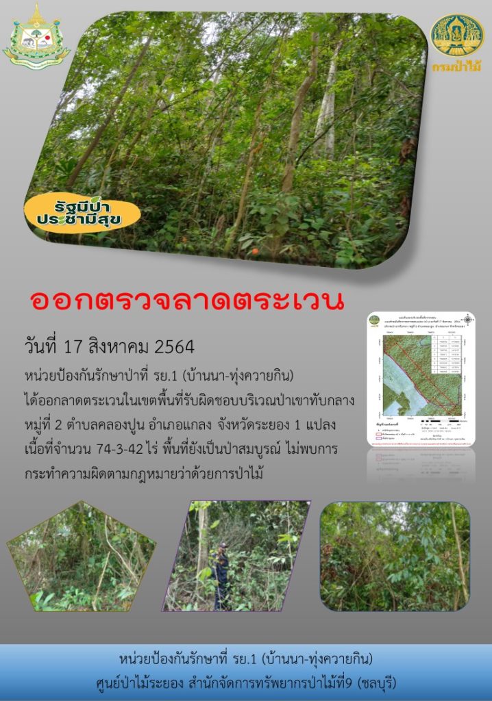 วันที่ 17 สิงหาคม 2564 หน่วยป้องกันรักษาป่าที่ รย.1 (บ้านนา-ทุ่งควายกิน) ได้ออกลาดตระเวนในเขตพื้นที่รับผิดชอบ บริเวณป่าเขาทับกลาง หมู่ที่ 2 ตำบลคลองปูน อำเภอแกลง จังหวัดระยอง จำนวน 1 แปลง เนื้อที่ 74-3-42 ไร่ พื้นที่ยังเป็นป่าสมบูรณ์ ไม่พบการกระทำความผิดตามกฎหมายว่าด้วยการป่าไม้