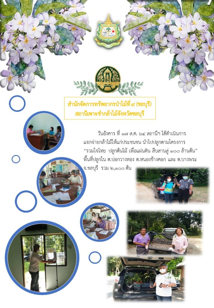 วันที่ 17 สิงหาคม 2564 สถานีเพาะชำกล้าไม้จังหวัดชลบุรี ได้ดำเนินการแจกจ่ายกล้าไม้ให้แก่ประชาชน นำไปปลูกตามโครงการ "รวมใจไทย ปลูกต้นไม้เพื่อแผ่นดิน" สืบสานสู่ 100 ล้านต้น พื้นที่ปลูกในตำบลบ่อกวางทอง ตำบลหนองข้างคอก และตำบลบางพระ จังหวัดชลบุรี รวม 2,100 ต้น