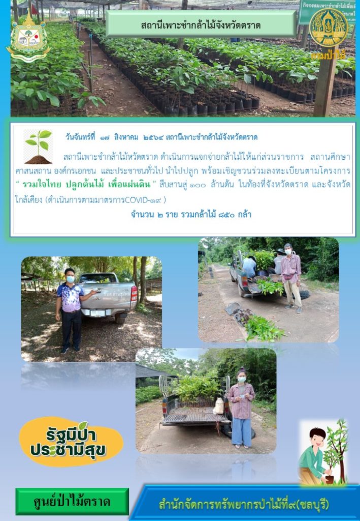 วันที่ 17 สิงหาคม 2564 สถานีเพาะชำก้าไม้จังหวัดตราด ดำเนินการแจกจ่ายกล้าไม้ให้แก่ส่วนราชการ สถานศึกษา ศาสนสถาน องค์กรเอกชน และประชาชนทั่วไป นำไปปลูก พร้อมเชิญชวนร่วมลงทะเบียนตามโครงการ "รวมใจไทย ปลูกต้นไม้เพื่อแผ่นดิน" สืบสานสู่ 100 ล้านต้น ในท้องที่จังหวัดตราด และจังหวัดใกล้เคียง (ดำเนินการตามมาตรการ Covid-19) จำนวน 2 ราย รวมกล้าไม้ 850 ต้น