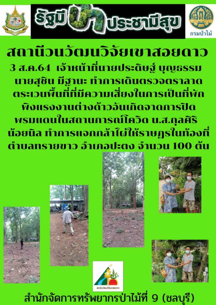 วันที่ 3 สิงหาคม 2564 สถานีวนวัฒนวิจัยเขาสอยดาว โดยนายประดิษฐ์ บุญธรรม ทำการเดินตรวจตราลาดตระเวนพื้นที่ที่มีความเสี่ยงในการเป็นที่พักพิงแรงงานต่างด้าวอันเกิดจากการปิดพรมแดนในสถานการณ์โควิด และนางสาวกุลศิริ น้อยนิล ทำการแจกกล้าไม้ไผ่ให้ราษฎรในท้องที่ตำบลทรายขาว อำเภอปะตง จำนวน 100 ต้น