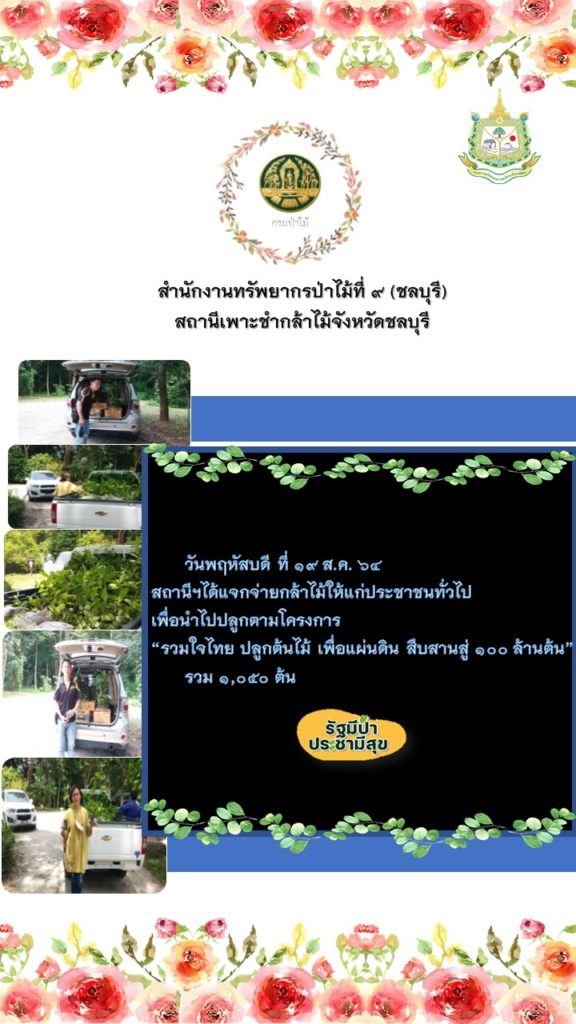 วันที่ 19 สิงหาคม 2564 สถานีเพาะชำกล้าไม้จังหวัดชลบุรี ได้แจกจ่ายกล้าไม้ให้แก่ประชาชนทั่วไป เพื่อนำไปปลูกตามโครงการ "รวมใจไทย ปลูกต้นไม้เพื่อแผ่นดิน" สืบสานสู่ 100 ล้านต้น รวม 1,050 ต้น
