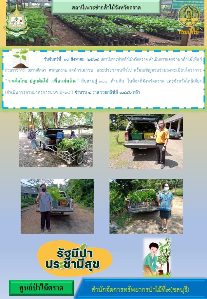 วันที่ 19 สิงหาคม 2564 สถานีเพาะชำกล้าไม้จังหวัดตราด ดำเนินการแจกจ่ายกล้าไม้ให้แก่ส่วนราชการ สถานศึกษา ศาสนสถาน องค์กรเอกชน และประชาชนทั่วไป พร้อมเชิญชวนร่วมลงทะเบียนโครงการ "รวมใจไทย ปลูกต้นไม้เพื่อแผ่นดิน" สืบสานสู่ 100 ล้านต้น ในท้องที่จังหวัดตราด และจังหวัดใกล้เคียง จำนวน 4 ราย รวมกล้าไม้ 1,446 กล้า