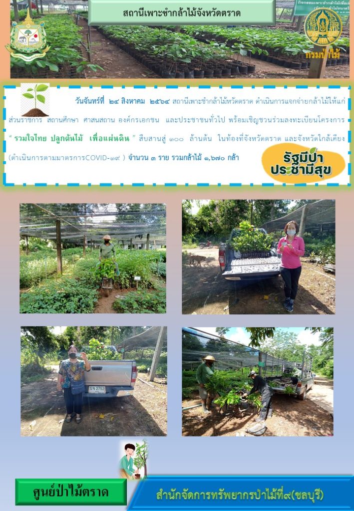 วันที่ 24 สิงหาคม 2564 สถานีเพาะชำกล้าไม้จังหวัดตราด ดำเนินการแจกจ่ายกล้าไม้ให้แก่ส่วนราชการ สถานศึกษา ศาสนสถาน องค์กรเอกชน และประชาชนทั่วไป พร้อมเชิญชวนร่วมลงทะเบียนโครงการ "รวมใจไทย ปลูกต้นไม้เพื่อแผ่นดิน" สืบสานสู่ 100 ล้านต้น ในท้องที่จังหวัดตราด และจังหวัดใกล้เคียง จำนวน 3 ราย รวม 1,670 กล้า