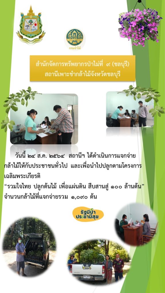 วันที่ 24 สิงหาคม 2564 สถานีเพาะชำกล้าไม้จังหวัดชลบุรี ได้ดำเนินการแจกจ่ายกล้าไม้ให้กับประชาชนทั่วไป และเพื่อนำไปปลูกตามโครงการเฉลิมพระเกียรติ "รวมใจไทย ปลูกต้นไม้เพื่อแผ่นดิน" สืบสานสู่ 100 ล้านต้น จำนวนกล้าไม้ที่แจกจ่ายรวม 1,090 ต้น