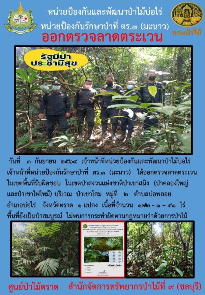 วันที่ 3 กันยายน 2564 เจ้าหน้าที่หน่วยป้องกันและพัฒนาป่าไม้บ่อไร่ เจ้าหน้าที่หน่วยป้องกันรักษาป่าที่ ตร.3 (มะนาว) ได้ออกตรวจลาดตระเวนในเขตพื้นที่รับผิดชอบ ในเขตป่าสงวนแห่งชาติป่าเขาสมิง (ป่าคลองใหญ่และป่าเขาไฟไหม้) บริเวณป่าเขาโสม หมู่ที่ 2 ตำบลบ่อพลอย อำเภอบ่อไร่ จังหวัดตราด จำนวน 1 แปลง เนื้อที่ 172-1-41 ไร่ พื้นที่ยังคงสภาพเป็นป่าสมบูรณ์ ไม่พบการกระทำความผิดตามกฎหมายว่าด้วยการป่าไม้