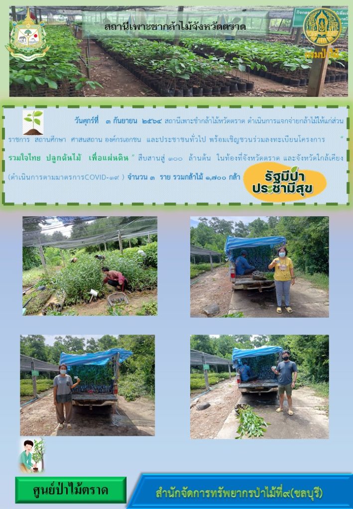 วันที่ 3 กันายน 2564 สถานีเพาะชำกล้าไม้จังหวัดตราด ดำเนินการแจกจ่ายกล้าไม้ให้แก่ส่วนราชการ สถานศึกษา ศาสนสถาน องค์กรเอกชน และประชาชนทั่วไป พร้อมเชิญชวนร่วมลงทะเบียนโครงการ "รวมใจไทย ปลูกต้นไม้เพื่อแผ่นดิน" สืบสานสู่ 100 ล้านต้น ในท้องที่จังหวัดตราด และจังหวัดใกล้เคียง จำนวน 3 ราย รวมกล้าไม้ 1,700 กล้า