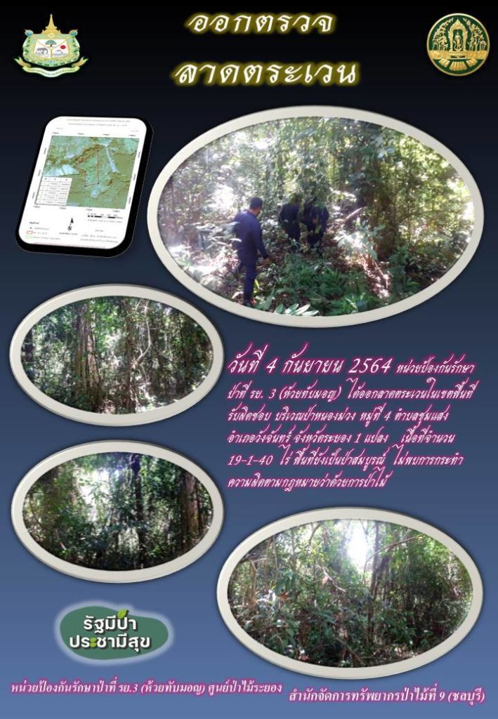 วันที่ 4 กันยายน 2564 หน่วยป้องกันรักษาป่าที่ รย.3 (ห้วยทับมอญ) ได้ออกลาดตระเวรนในเขตพื้นที่รับผิดชอบ บริเวณป่าหนองม่วง หมู่ที่ 4 ตำบลชุมแสง อำเภอวังจันทร์ จังหวัดระยอง จำนวน 1 แปลง เนื้อที่ 19-1-40 ไร่ พื้นที่ยังคงสภาพเป็นป่าสมบูรณ์ ไม่พบการกระทำความผิดตามกฎหมายว่าด้วยการป่าไม้