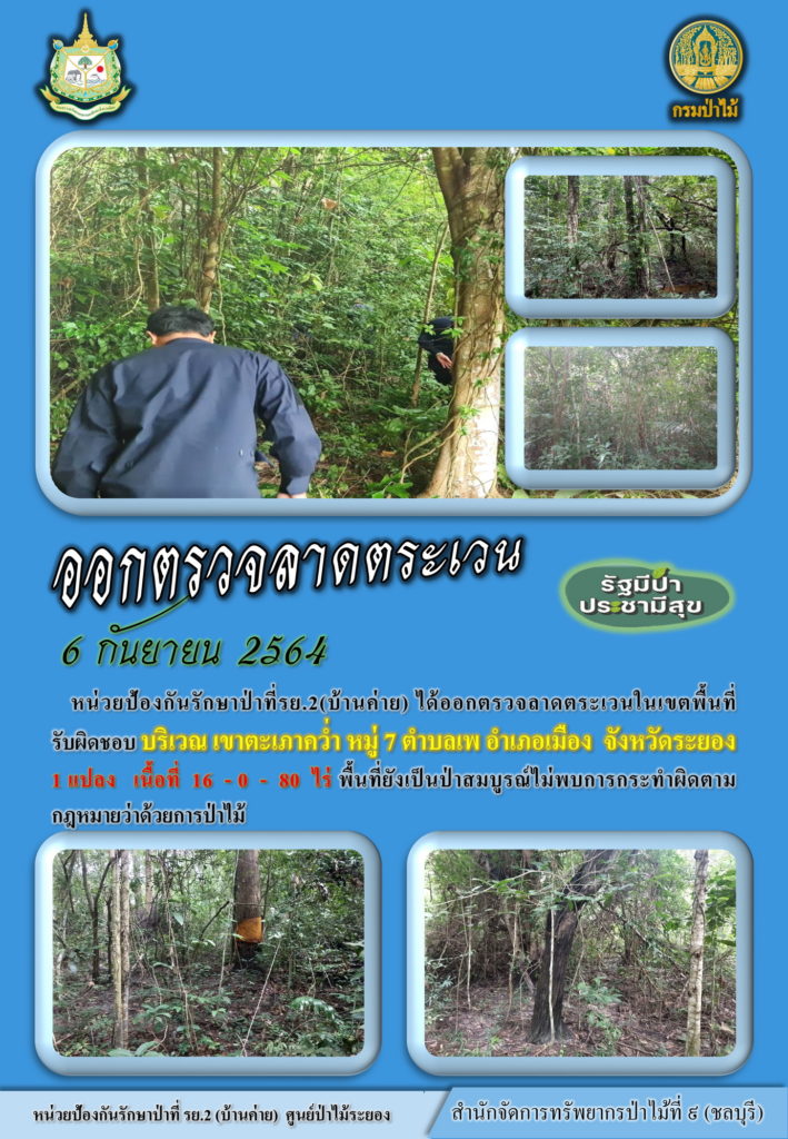 วันที่ 6 กันยายน 2564 หน่วยป้องกันรักษาป่าที่ รย.2 (บ้านค่าย) ได้ออกตรวจลาดตระเวนในเขตพื้นที่รับผิดชอบ บริเวณเขาตะเภาคว่ำ หมู่ที่ 7 ตำบลเพ อำเภอเมือง จังหวัดระยอง จำนวน 1 แปลง เนื้อที่ 16-0-80 ไร่ พื้นที่ยังคงสภาพเป็นป่าสมบูรณ์ ไม่พบการกระทำความผิดตามกฎหมายว่าด้วยการป่าไม้