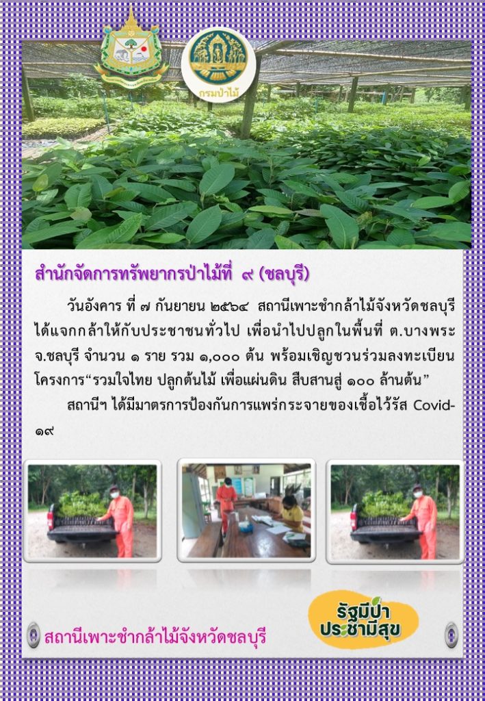 วันที่ 7 กันยายน 2564 สถานีเพาะชำกล้าไม้จังหวัดชลบุรี ได้แจกกล้าไม้ให้กับประชาชนทั่วไป เพื่อนำไปปลูกในพื้นที่ ตำบลบางพระ จังหวัดชลบุรี จำนวน 1 ราย รวมกล้าไม้ 1,000 ต้น พร้อมทั้งได้เชิญชวนให้ลงทะเบียนโครงการ "รวมใจไทย ปลูกต้นไม้ เพื่อแผ่นดิน" สืบสานสู่ 100 ล้านต้น