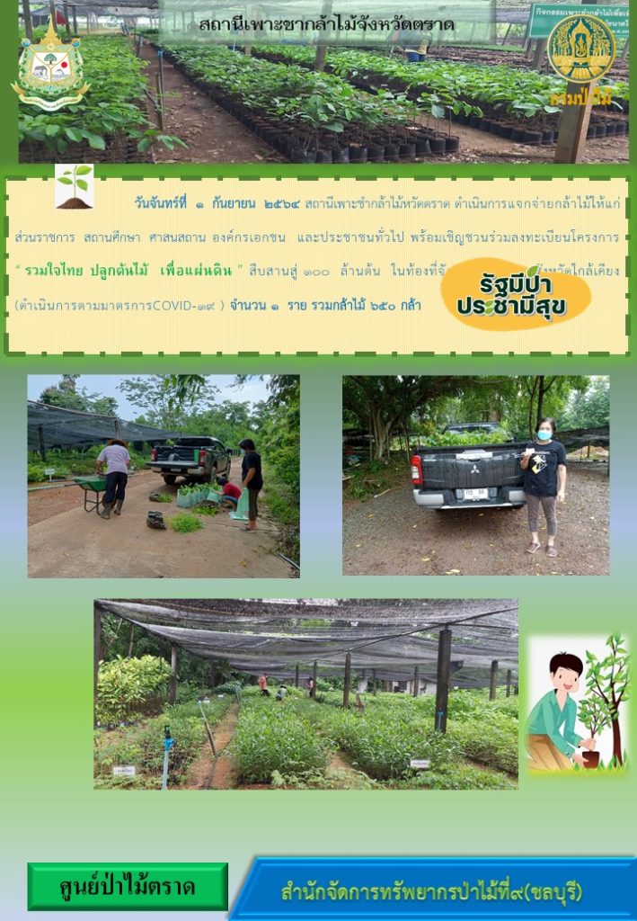 วันที่ 1 กันยายน 2564 สถานีเพาะชำกล้าไม้จังหวัดตราด ดำเนินการแจกจ่ายกล้าไม้ให้แก่ส่วนราชการ สถานศึกษา ศาสนสถาน องค์กรเอกชน และประชาชนทั่วไป พร้อมเชิญชวนร่วมลงทะเบียนโครงการ "รวมใจไทย ปลูกต้นไม้เพื่อแผ่นดิน" สืบสานสู่ 100 ล้านต้น ในท้องที่จังหวัดตราด และจังหวัดใกล้เคียง จำนวน 1 ราย รวมกล้าไม้ 650 กล้า